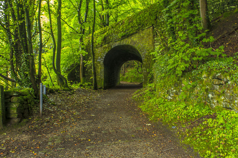 Intake Lane Intake Lane